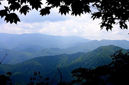 Shirakami Sanchi - view from the "mountain ridge" trail