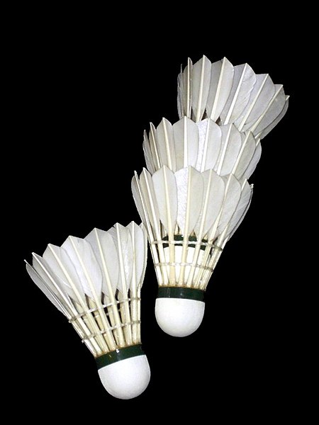 File:Shuttlecocks Yonex Aerosensa 20.jpg