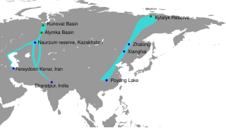 Migration routes, breeding and wintering sites