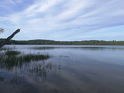 Näkymä Siikajärven länsirannalta.