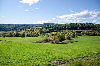 <span class="mw-page-title-main">Skoger Municipality</span> Former municipality in Norway