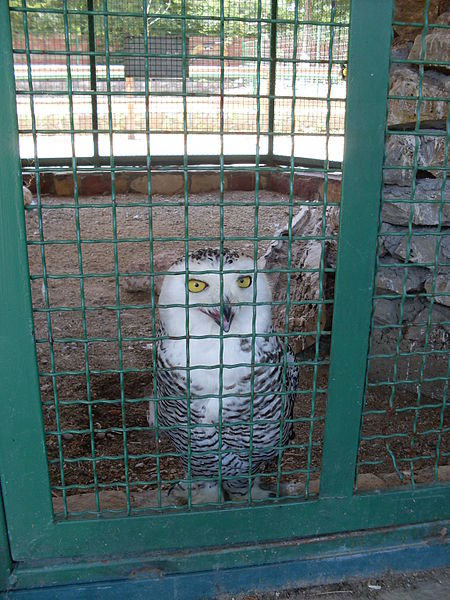 File:Skopje Zoo 3.jpg