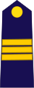 Policía de Somalilandia OR-9a.svg