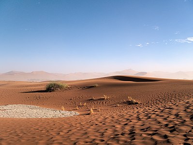 Dune ripples near Sossusvlei