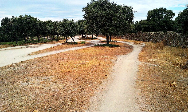 File:Soto de Viñuelas 2 (ruta Daganzo-Narros) - panoramio.jpg