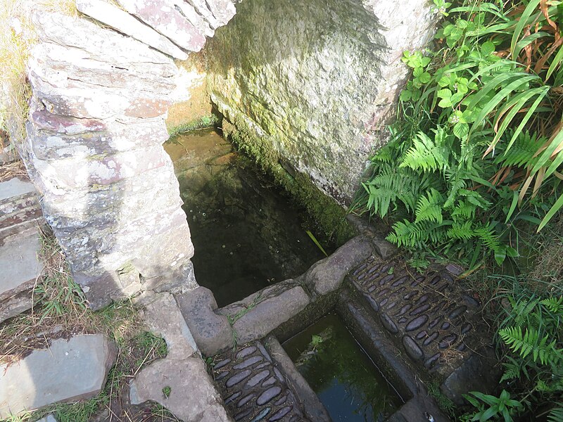 File:St Nons Well, a spring said to have arisen at the place where St David, patron saint of Wales, was born 02.jpg