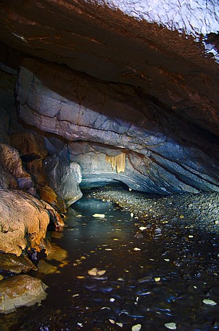 <span class="mw-page-title-main">Amatérská Cave</span> Cave and archaeological site in the Czech Republic