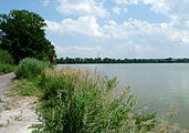 Čeština: Starohaklovský rybník mezi vesmi Haklovy Dvory a Nové Dvory, okres České Budějovice. English: Starohaklovský pond between the villages of Nové Dvory and Haklovy Dvory, České Budějovice District, South Bohemian Region, Czech Republic.