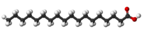 Stearic-acid-3D-balls.png