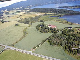 Steinsåsen