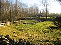 9224 2022-01-26 onsdag Stenmurslandskapet, Väsmestorps naturreservat, Sörby sn, Falköpings kn, Västergötland.