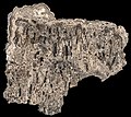 Stromatolithen hg.jpg