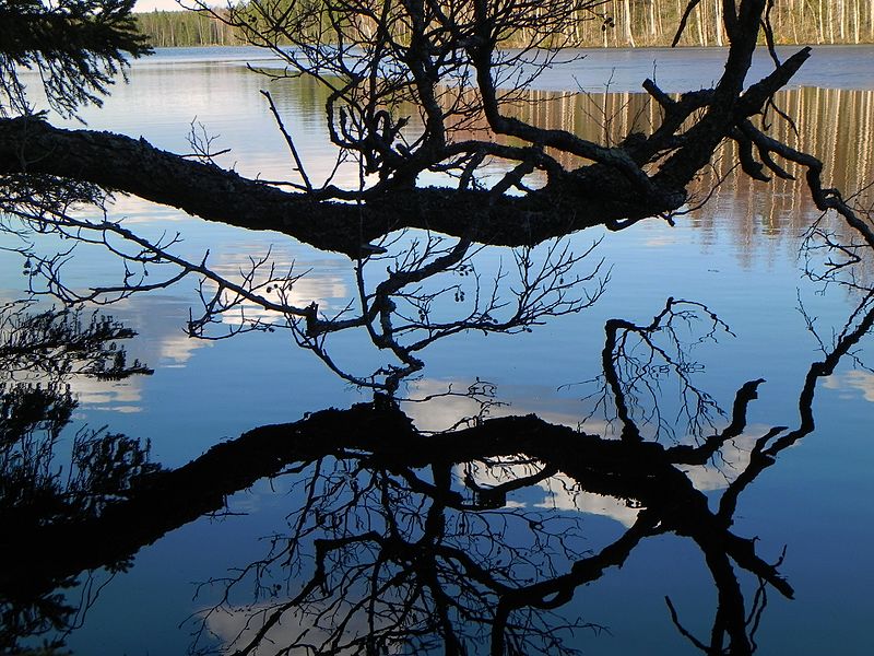 File:Strong Reflection on Vähä Kausjärvi - panoramio.jpg