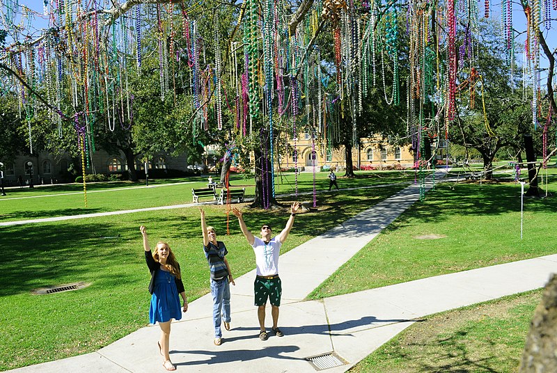 File:Students decorate the Mardi Gras tree on Gibson Quad (5553937334).jpg