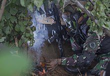 Indonesian National Armed Forces DPM camo worn by Indonesian Army Kostrad soldier, also known as 'Loreng Malvinas' or 'Malvinas Camo' Survival Indonesian Army.jpg