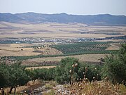 Vue de Téboursouk, sur le plateau tunisien