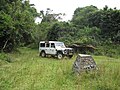 Miniatura para Parque nacional de la Isla Rubondo