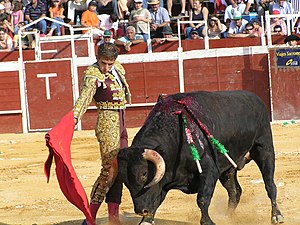 TORERO