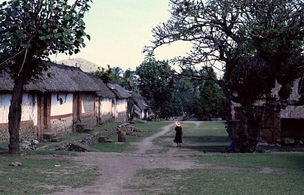 Bali Aga village layout with house compounds facing a broad avenue. Each house compound contains individual houses, each belonging to a nuclear family. Tenganan 1981 0017.jpg