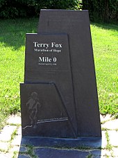 Terry Fox - Wikipedia