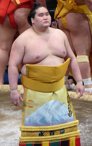 File:Terunofuji Haruo20171112.jpg