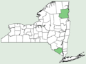 Thalictrum dasycarpum NY-dist-map.png