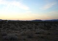 The Mohave Desert at Twilight