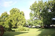 Paysage dans le jardin botanique de Tours (France).