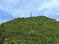 Tower at Top of Mount Scenery (6550016077).jpg