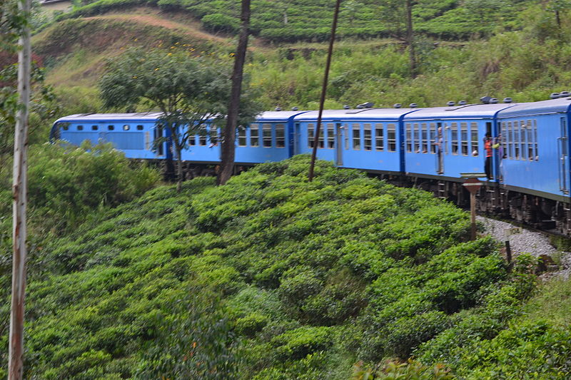 File:Train ride thru Sri Lanka Upcountry tea garden.JPG