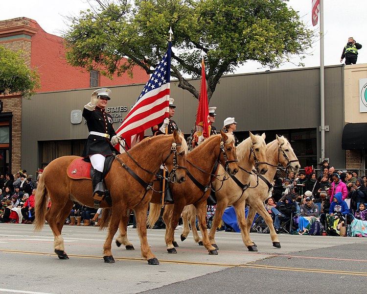 File:United States Marine Corps Mounted Color Guard (32229627435).jpg