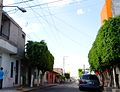 Uriangato - Calle Mariano Matamoros - panoramio (3).jpg