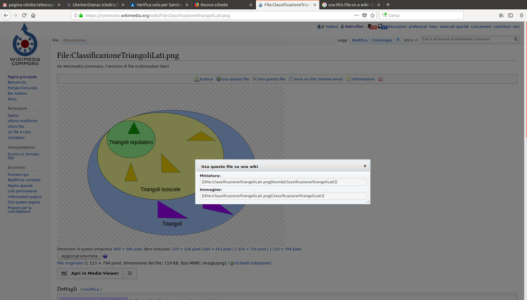 Usa questo file su una wiki, immagine per aiuto