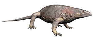 Varanops