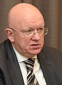 Vasily Nebenzya (2020-02-03).jpg