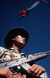 Vietcong guerrilla stands beneath a Vietcong flag carrying his AK-47 rifle Viet Cong soldier DD-ST-99-04298.jpg