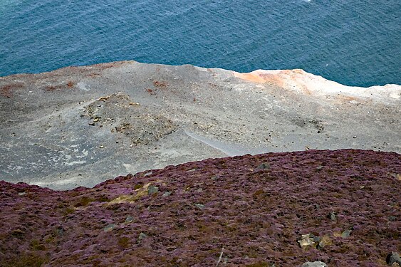 Blick über teilweise mit Heide bewachsene Küstenfelsen hinunter auf das Meer, Staithes, Yorkshire, England (bearbeitet mit Aquarellfilter)