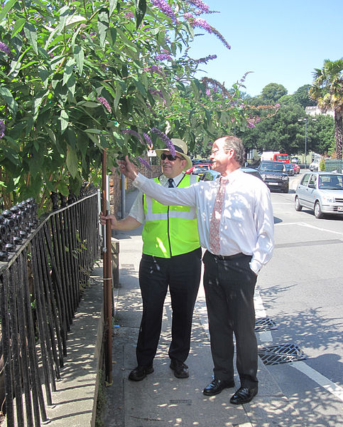 File:Visite du Branchage Saint Hélier 2011 05.jpg