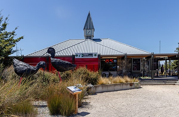 Two statues of black stilts (kakī) in the town centre, near the tourist information centre (background)