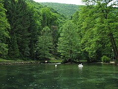 Vrelo Bosne summer 2010