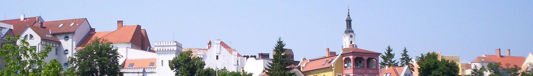 WV banner Veszprem quận Veszprem city view.jpg