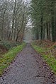 * Nomination Walking path in Bois d'Havré (Havré, Mons, Belgium) --Trougnouf 20:06, 8 January 2021 (UTC) * Promotion Good quality. --Moroder 11:55, 15 January 2021 (UTC)