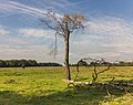 Wandelen over de Planken Wambuis vanuit Mossel 20.jpg