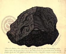 Aquarelle de Météorite, 1825
