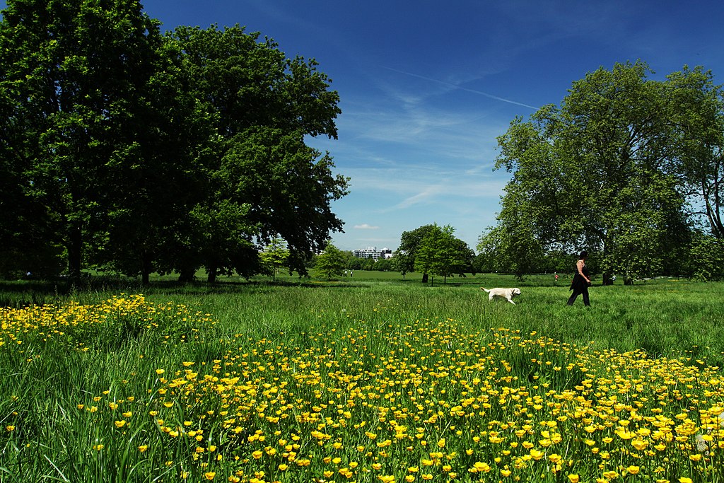 Regent's Park à Londres : Un des plus grand parc londonien. Photo de Chmee2