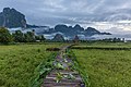 * Nomination Wooden walkway raised on stilts and overgrown with Nelumbo nucifera leaves (Sacred lotus), leading to a hut with straw roof, in front of karst mountains surrounded by mist, at sunrise, in Vieng Tara Villa, Vang Vieng, Vientiane Province, Laos, during the monsoon.I, the copyright holder of this work, hereby publish it under the following license --Basile Morin 03:13, 30 July 2020 (UTC) * Promotion  Support Good quality -- Johann Jaritz 03:19, 30 July 2020 (UTC)