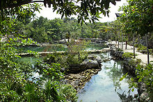 Xcaret pond