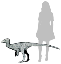 List Of Asian Dinosaurs