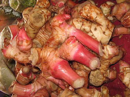 Lengkuas rhizomes from Malaysia