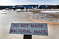 "Do not mark bacterial mats" sign in the Upper Geyser Basin (36031835765).jpg